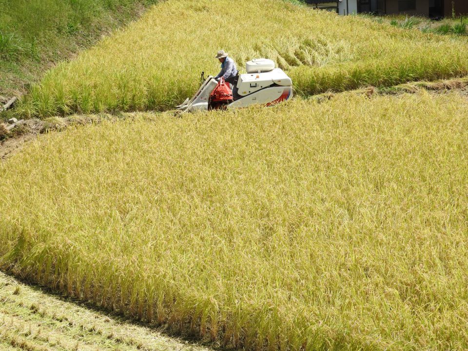 食品業界の温度管理の重要性